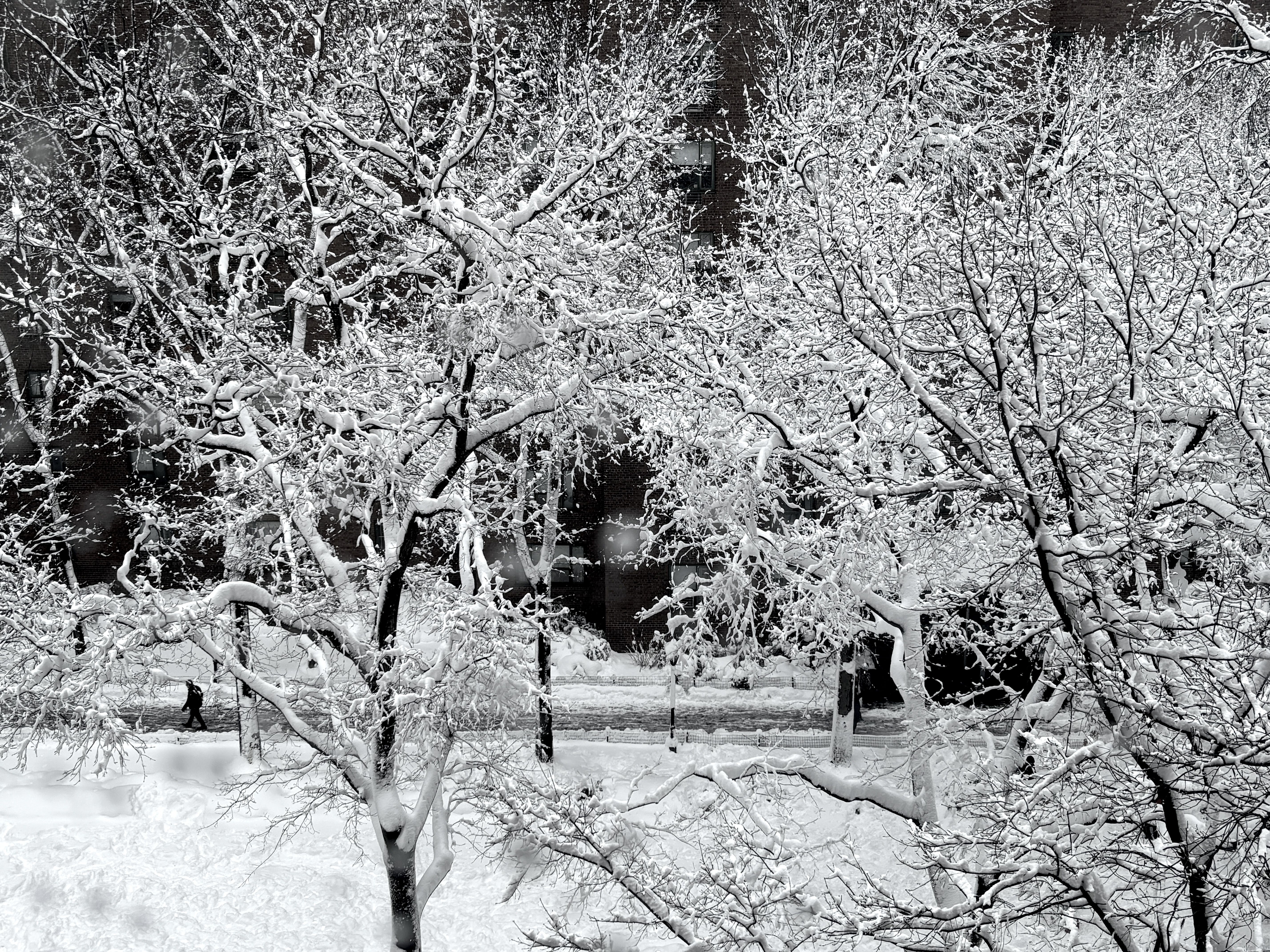 View from Manhattan NYC