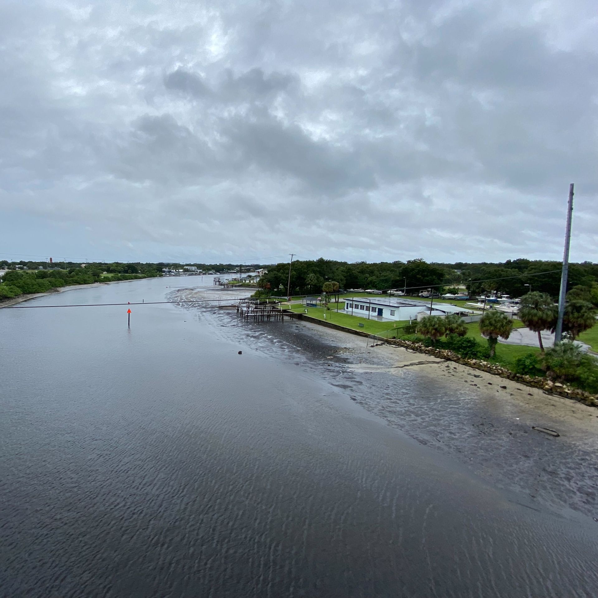 The Hillsborough River at low tide just now from the North Boulevard Bridge. 