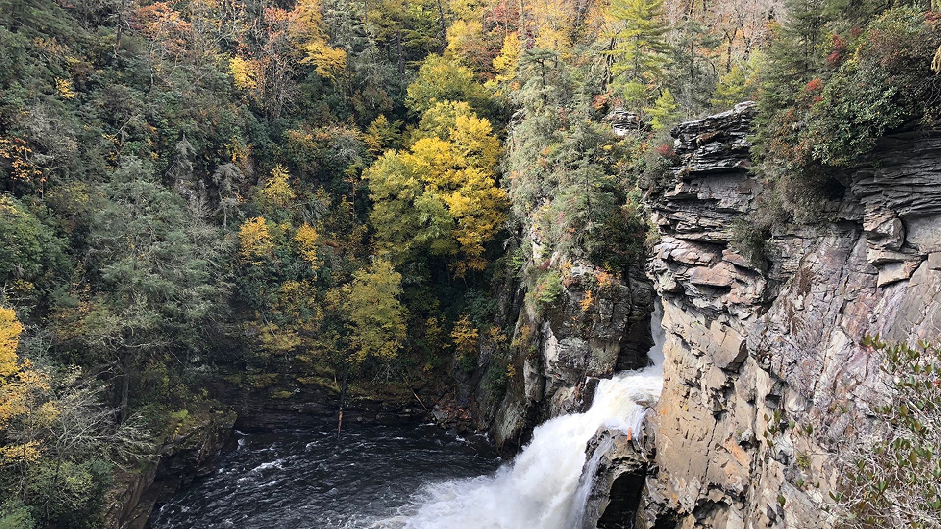 Linville Falls overlook