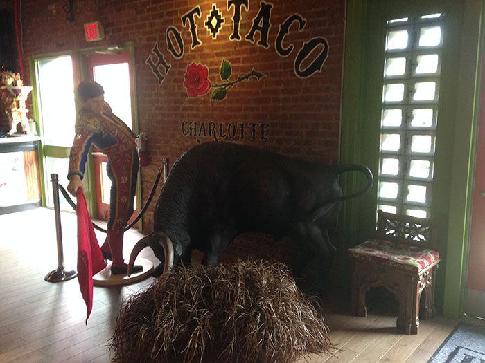 bull-tamer-at-hot-taco