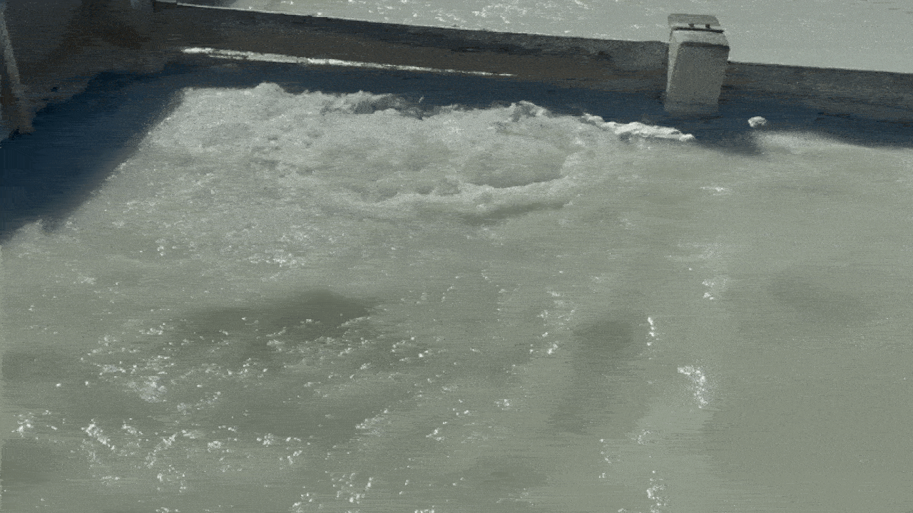 Bubbling, foamy water in a shallow, concrete-bordered pool with a small concrete structure near one edge, under bright daylight.