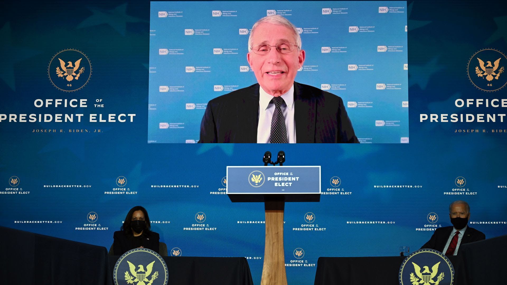 Anthony Fauci appears via video today with Vice President-elect Harris and President-elect Biden. Photo: Jim Watson/AFP via Getty Images