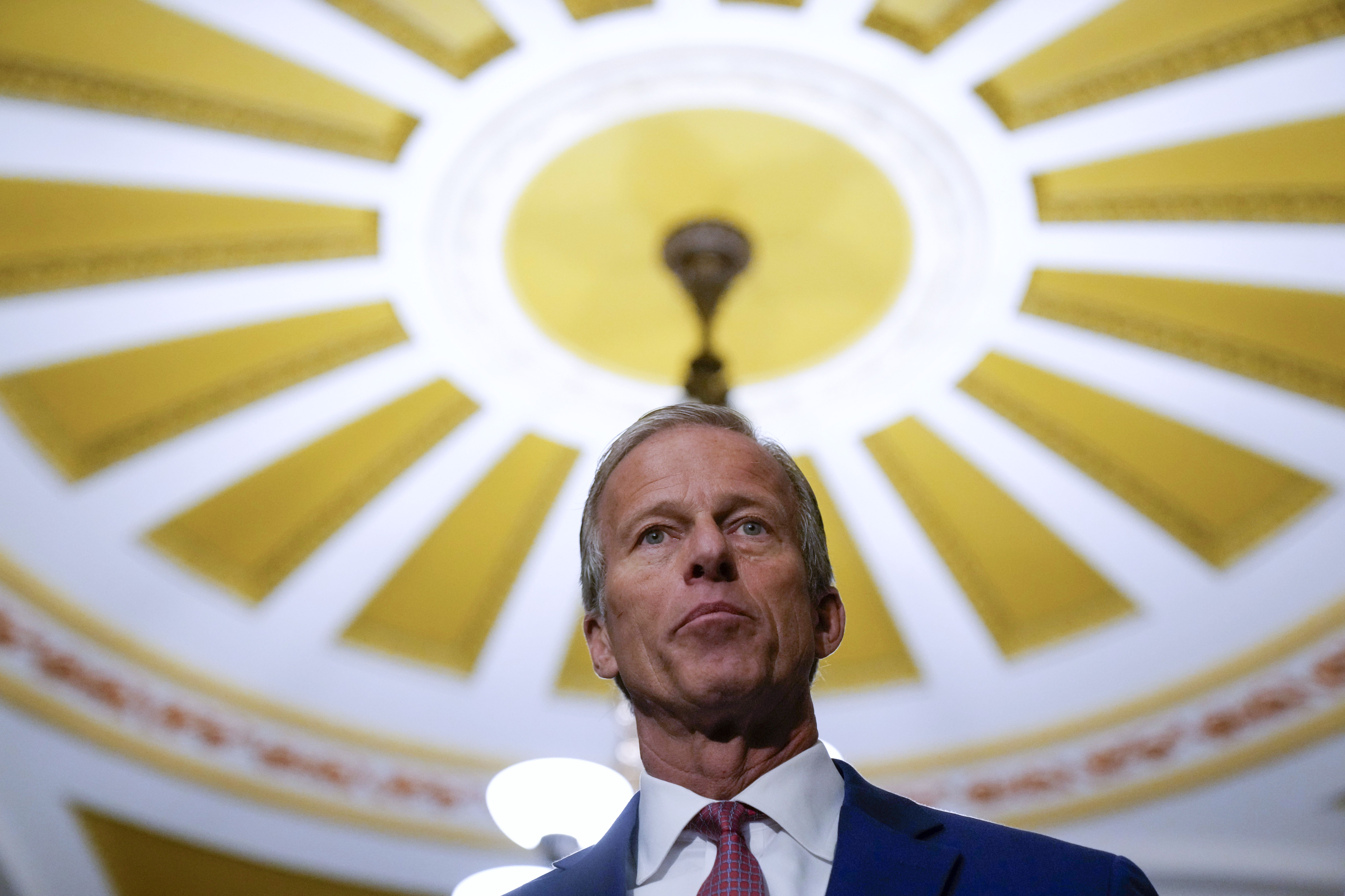 Sen. John Thune speaks to reporters on Capitol Hill last year.