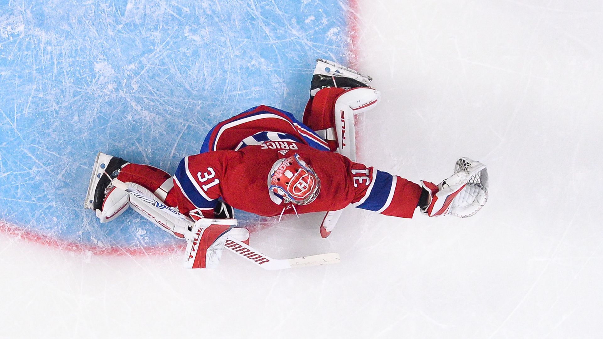 carey price making a glove save