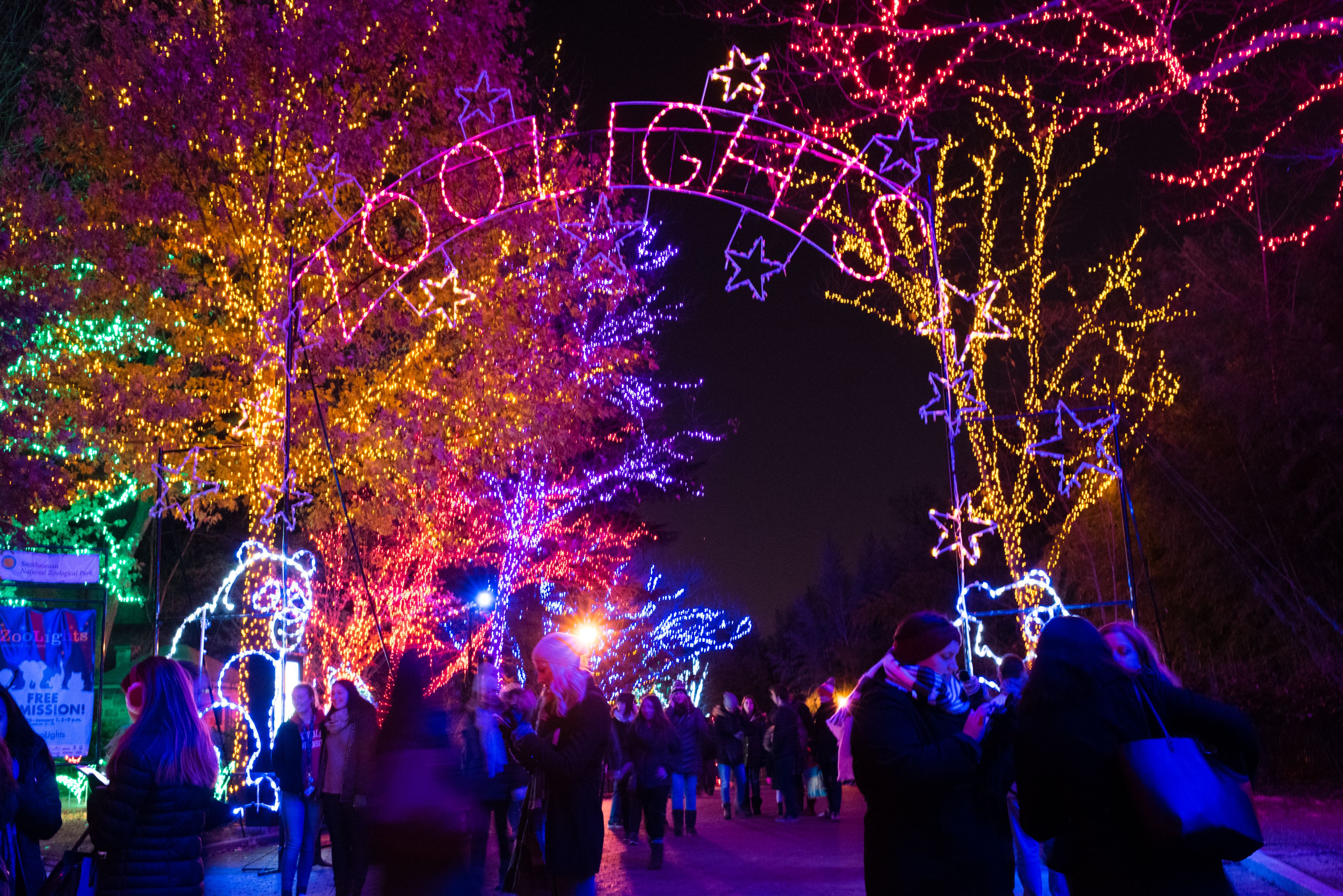 axios.com - Mimi Montgomery - Your D.C. weekend: Spirit championship, Zoo Lights and downtown holiday market