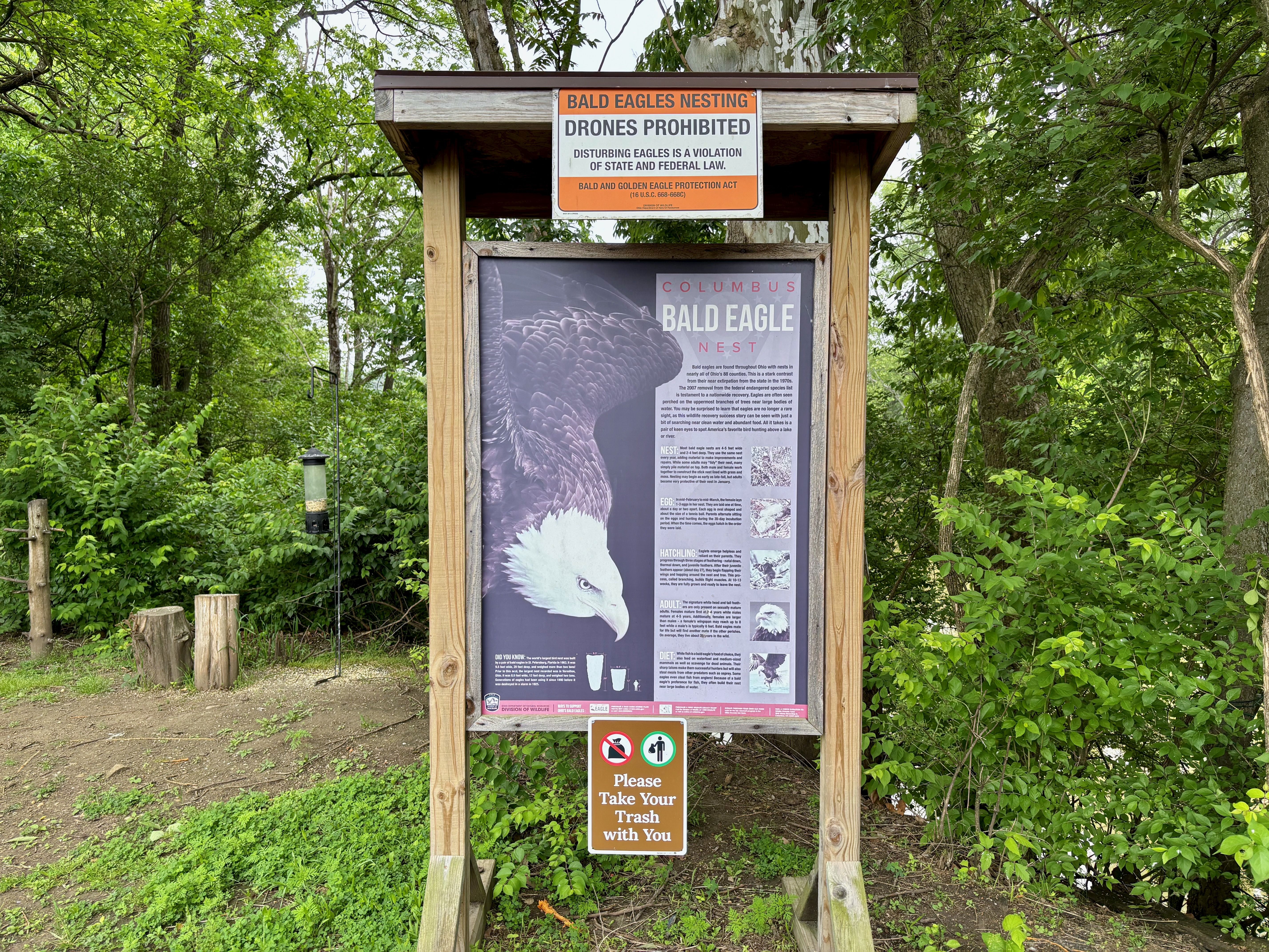 A close-up of an educational sign that reads "Columbus bald eagle nest" with a photo of an eagle and a warning sign about not disturbing them.