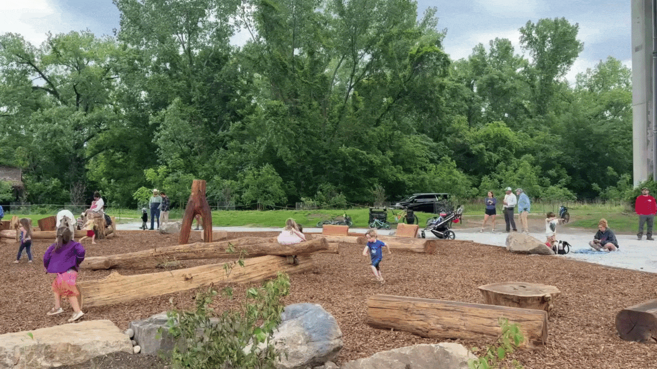video of kids running around a nature-y park