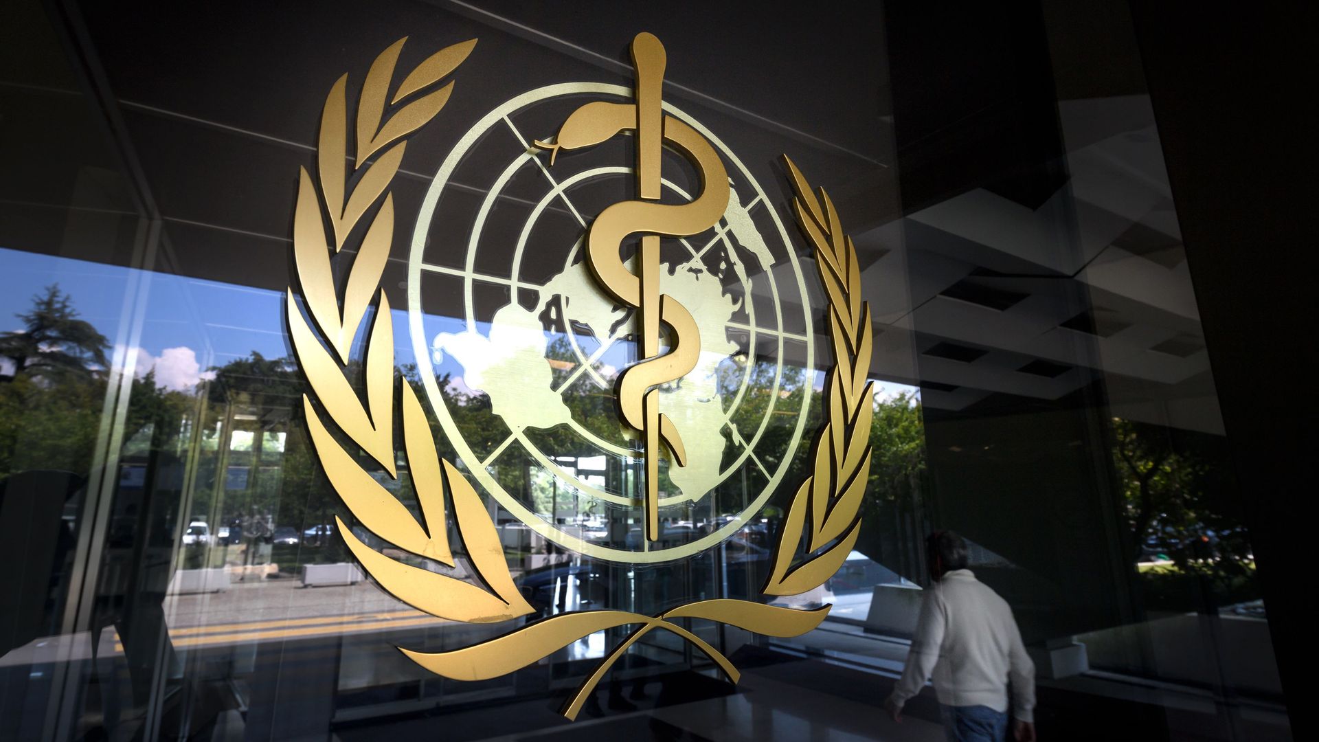 Picture of World Health Organization logo