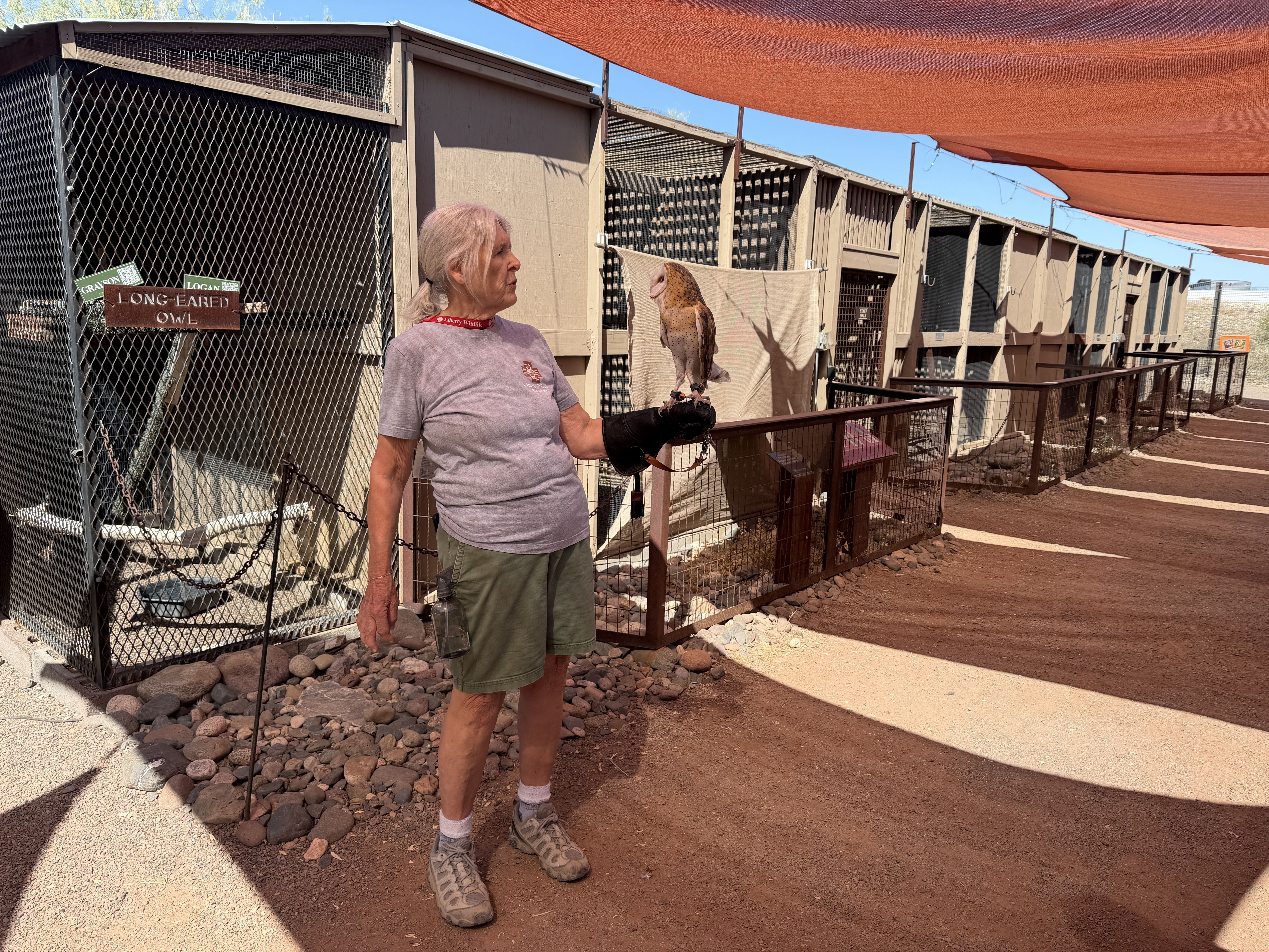 A woman holding a barn owl.