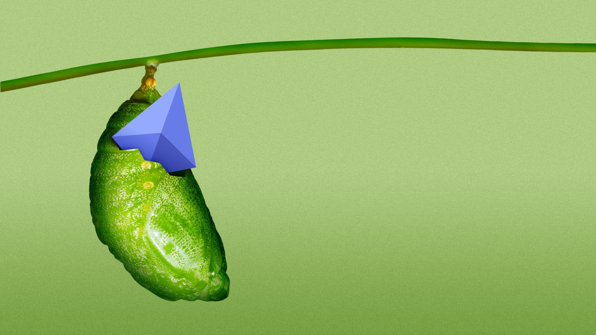 Illustration of the Ethereum logo popping out of a cocoon.