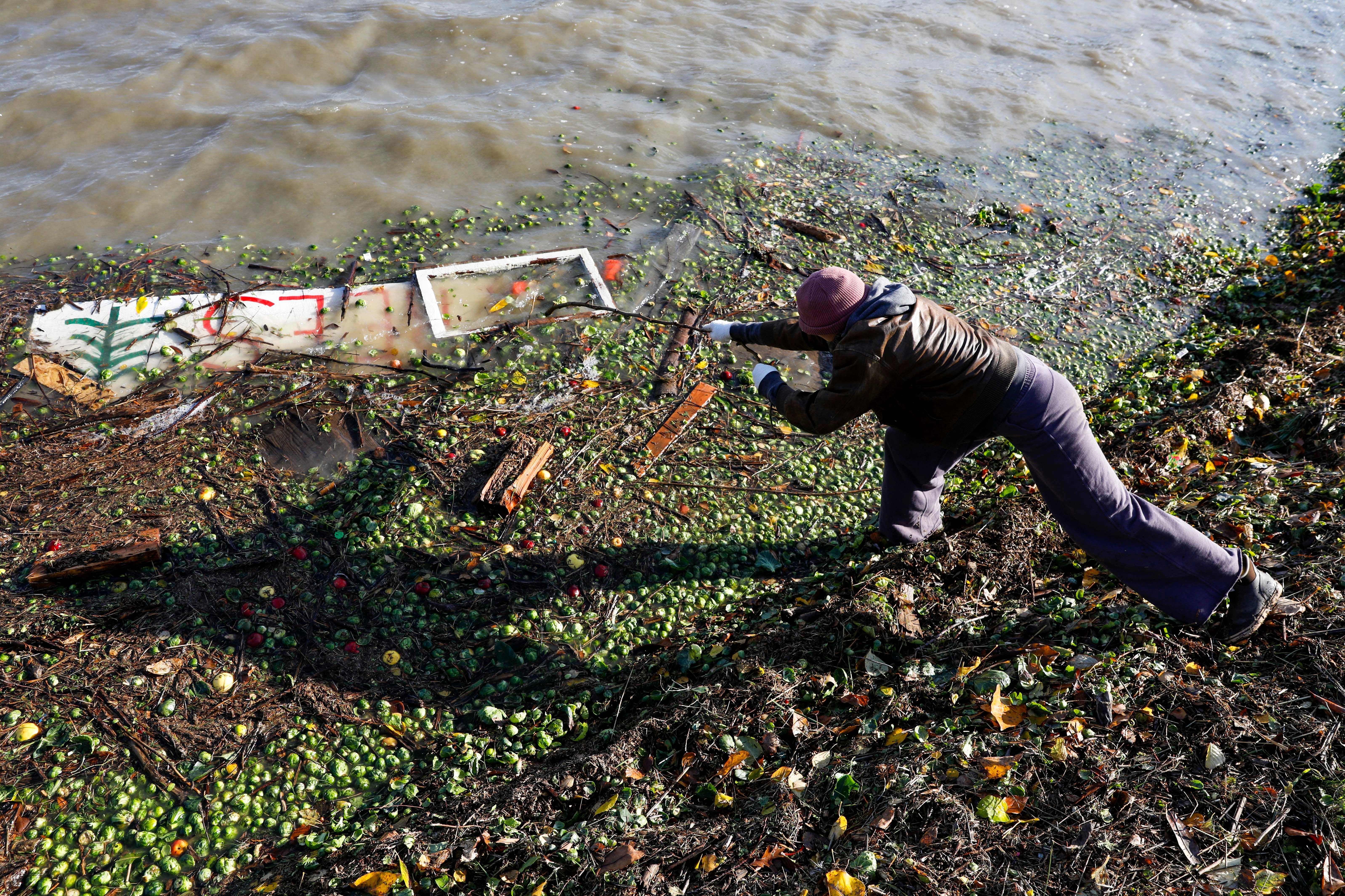 A woman in Burlington, Washington, fishes trash from the banks of a levee on the flooding Skagit River, on November 17