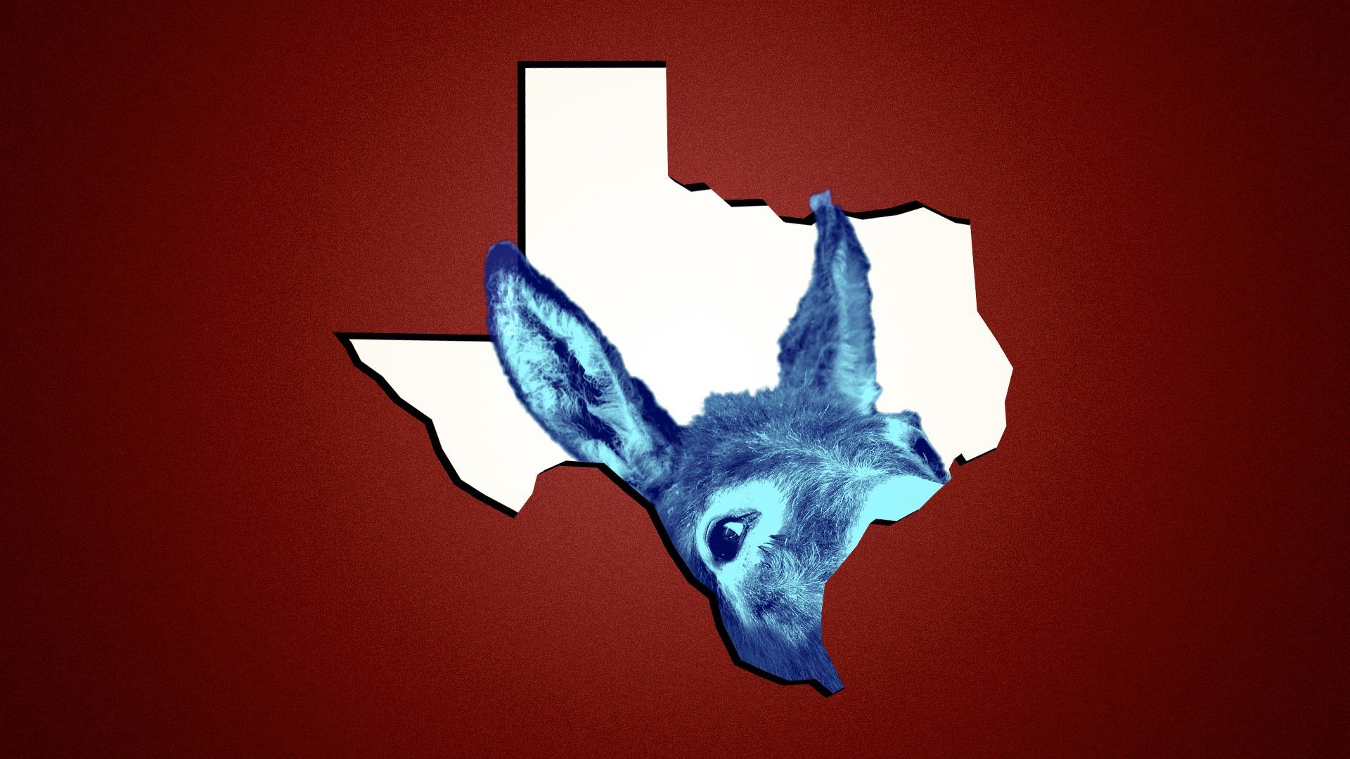 Illustration of a blue donkey peeking through a Texas-shaped hole in a red wall.