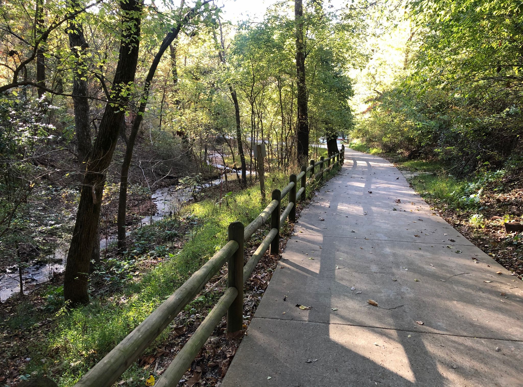 Photo of North Forest and Rock Ledge Trail Loop