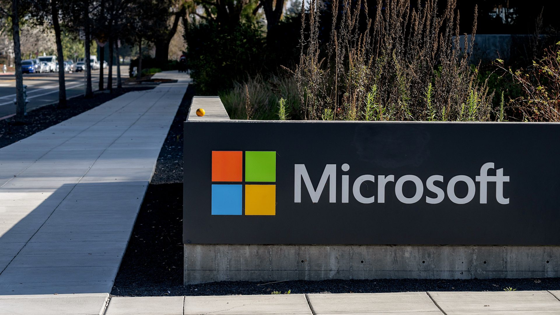 A sign that says "Microsoft" with the company's logo of four squares is shown outside a building, with a sidewalk to the left and plants behind it.