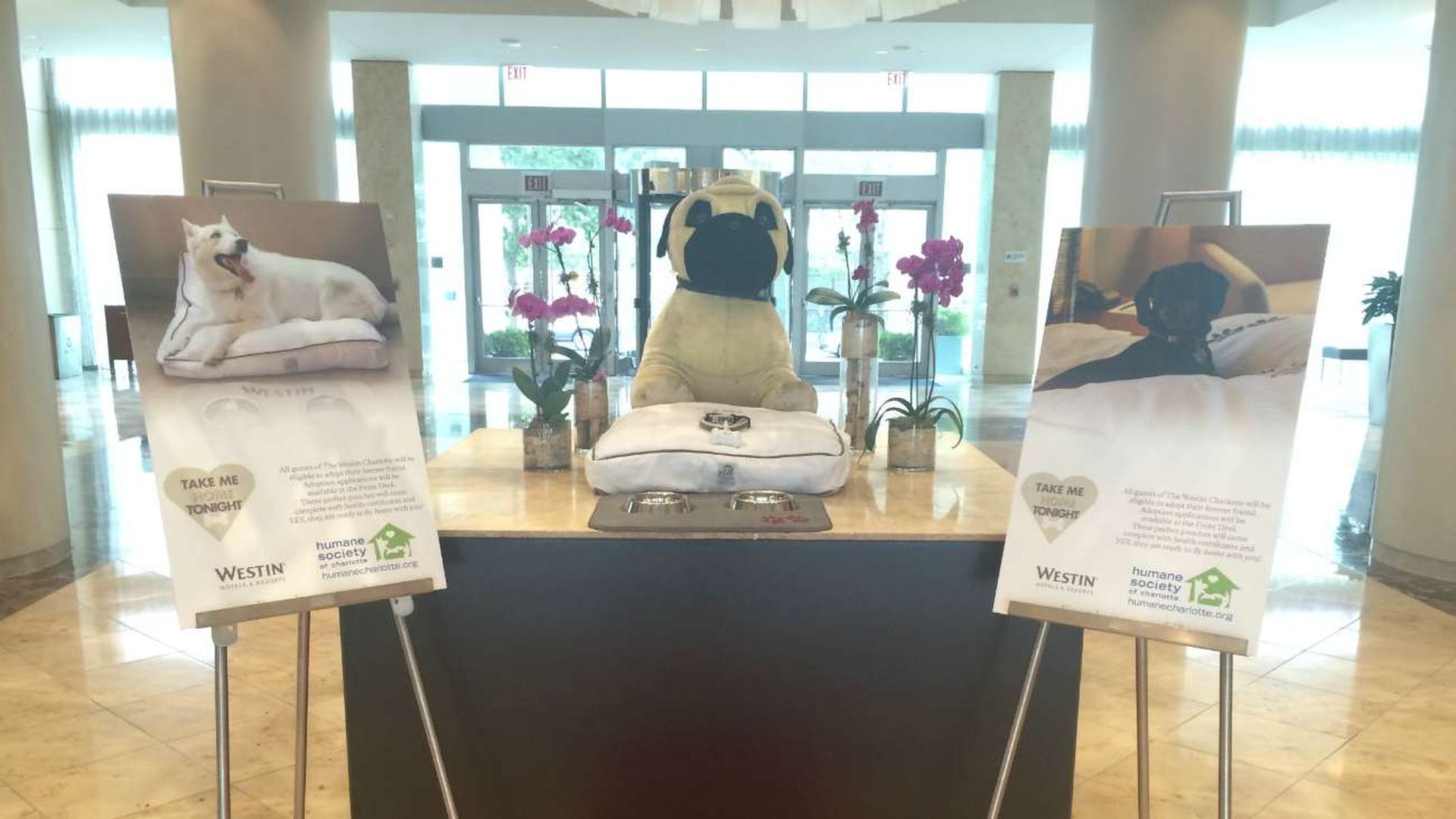 Take Me Home Tonight