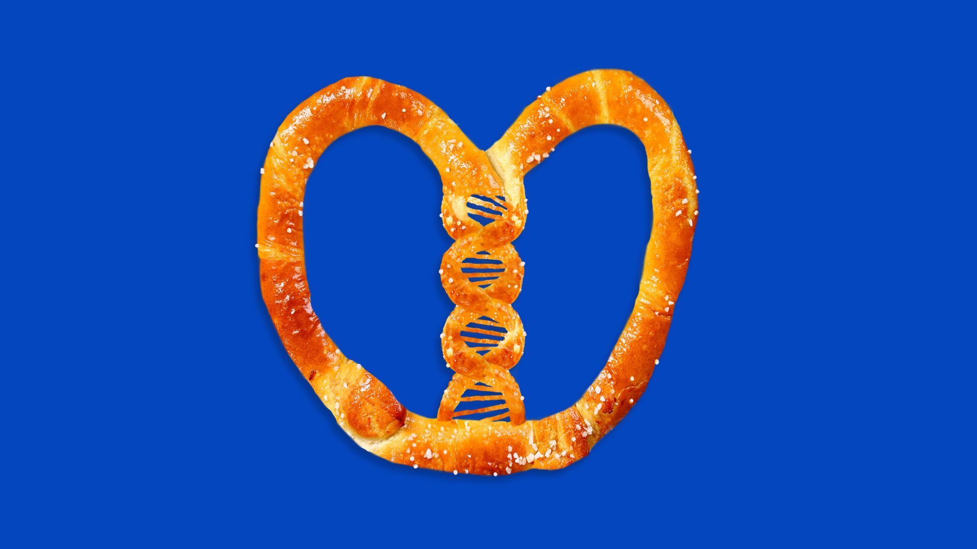 Illustration of a wheat pretzel with the center twist being a genetic DNA strand