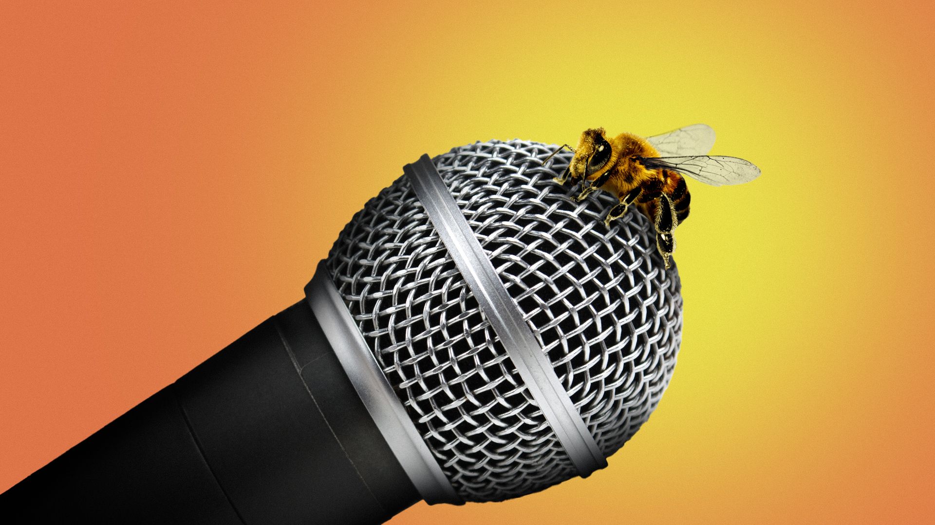 Illustration of a bee on a microphone.