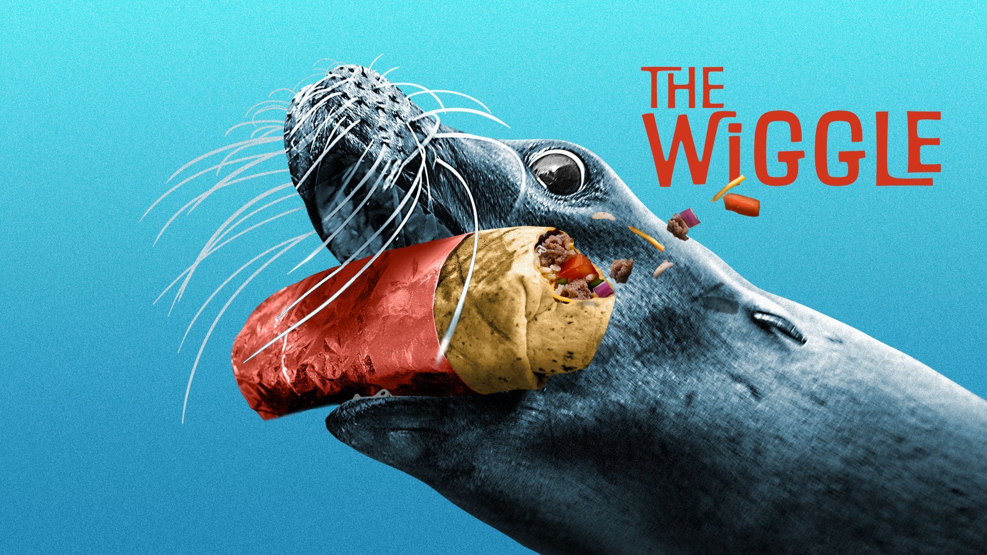 Illustration of a sea lion with a mission-style burrito in its mouth.