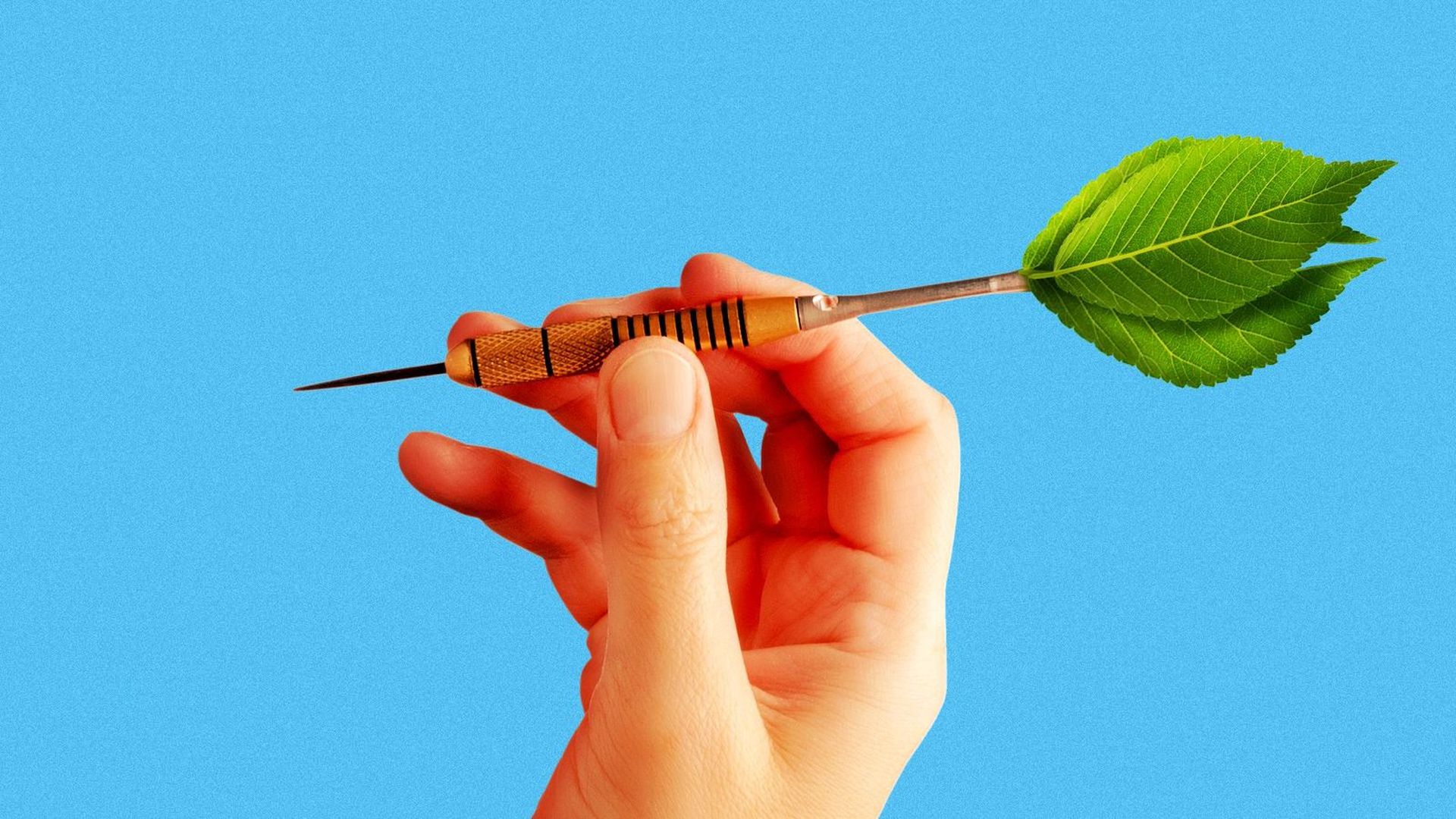Illustration of a hand holding a dart with leaves 