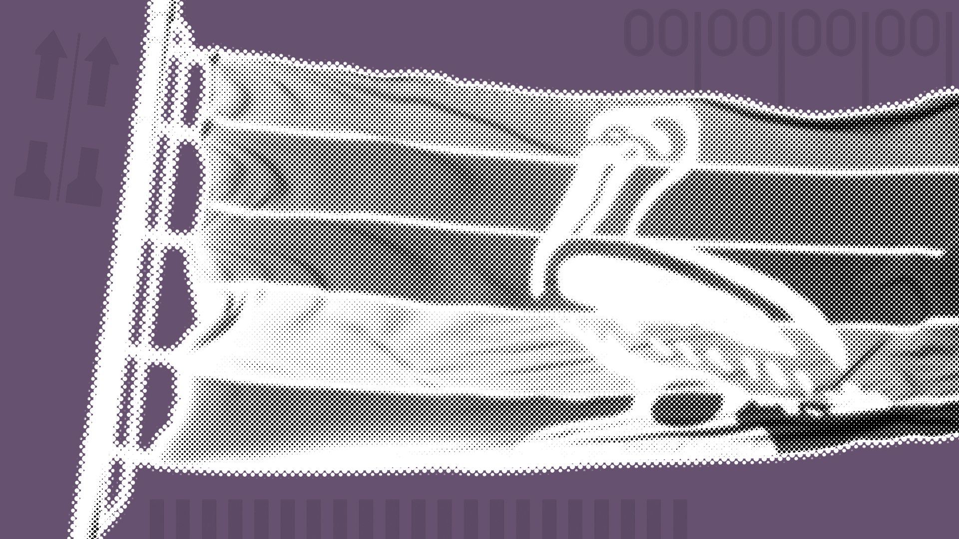 Illustration of the St. Petersburg flag dividing a purple background with elements of ballots.