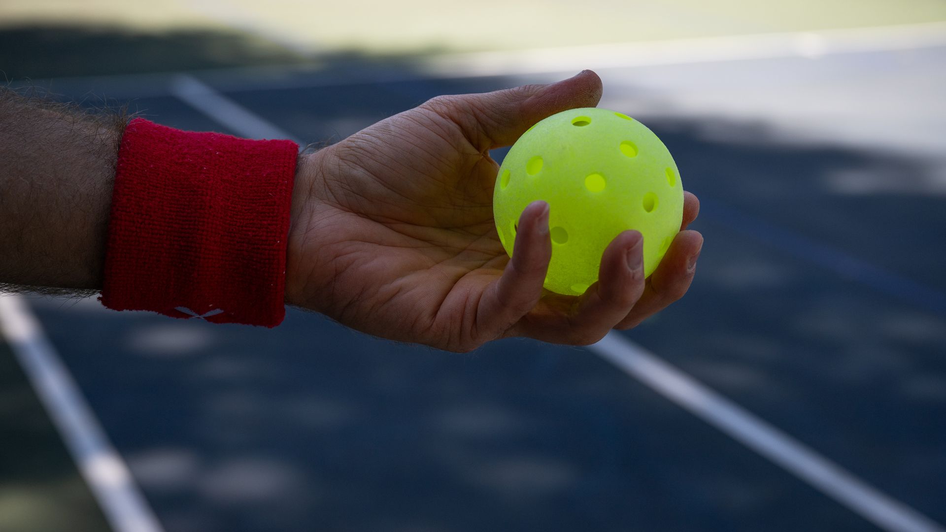 A hand holding a pickleball.