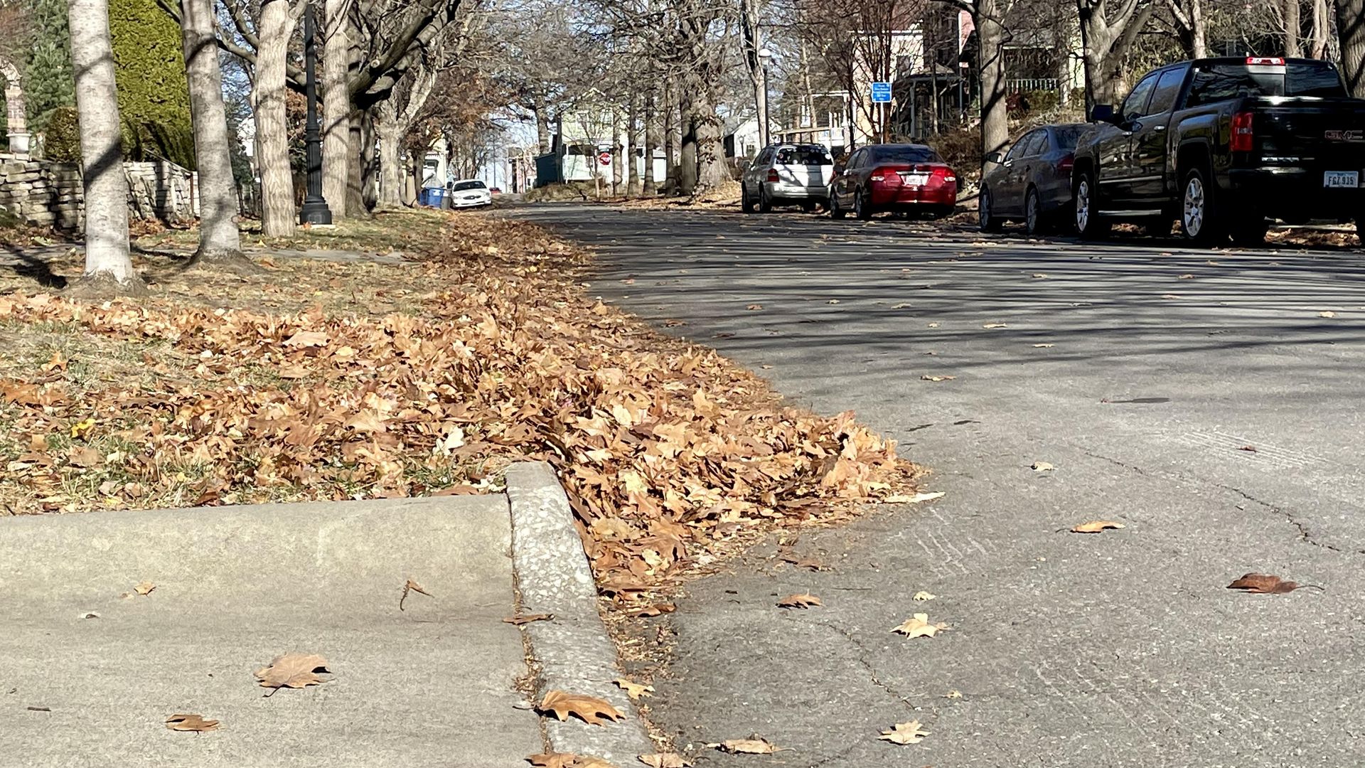 A photo of leaves in a street.