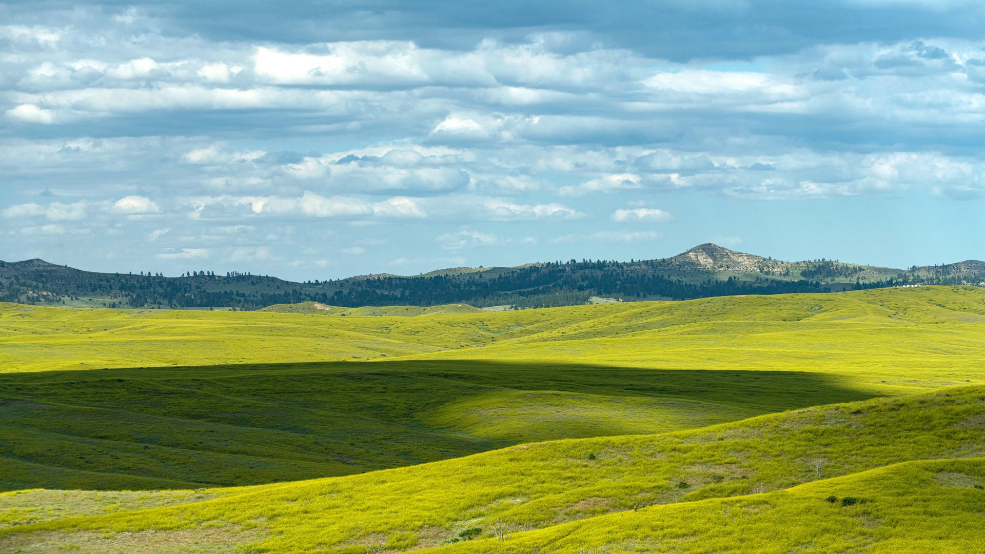 The Northern Cheyenne Indian Reservation, where former Utah County Attorney David Leavitt's adopted child hails from. Photo: Dukas/Universal Images Group via Getty Images 
