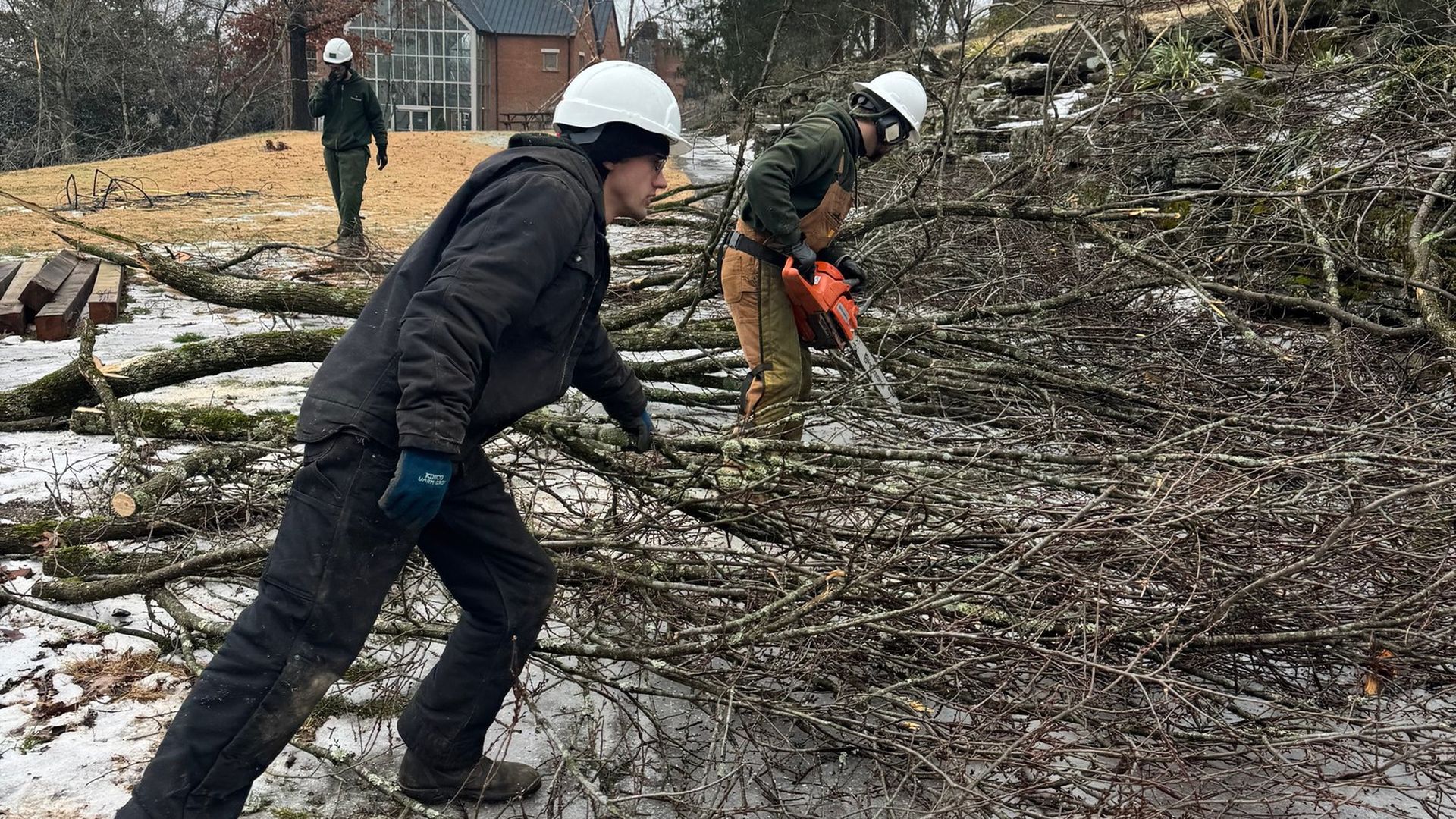 Three people wearing white helmets working outdoors on icy ground, cutting and moving large tree branches near bare trees and a building in the background.