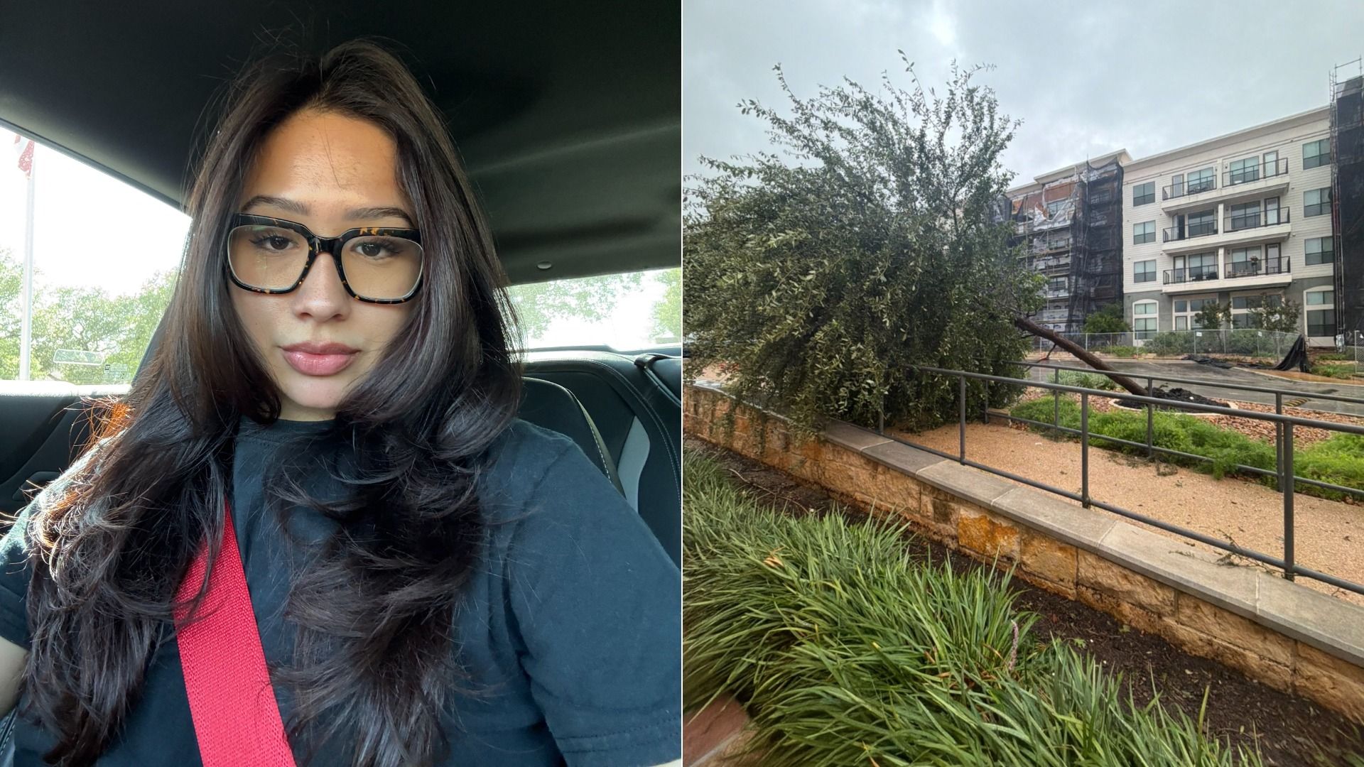 Split image: left shows a young woman in a car wearing tortoiseshell glasses and a red seat belt; right shows a fallen tree branch blocking a sidewalk by a modern apartment building under construction.