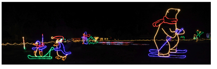 A photo of holiday lights.