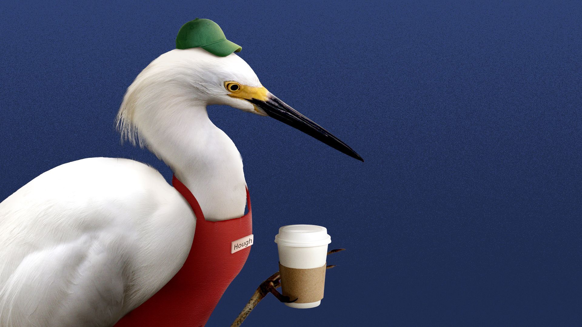 Illustration of an egret wearing a barista uniform and holding a coffee.
