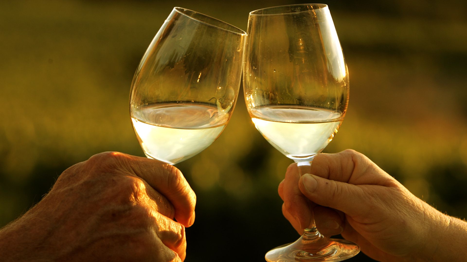 A toast of two glasses of white wine, with only hands visible