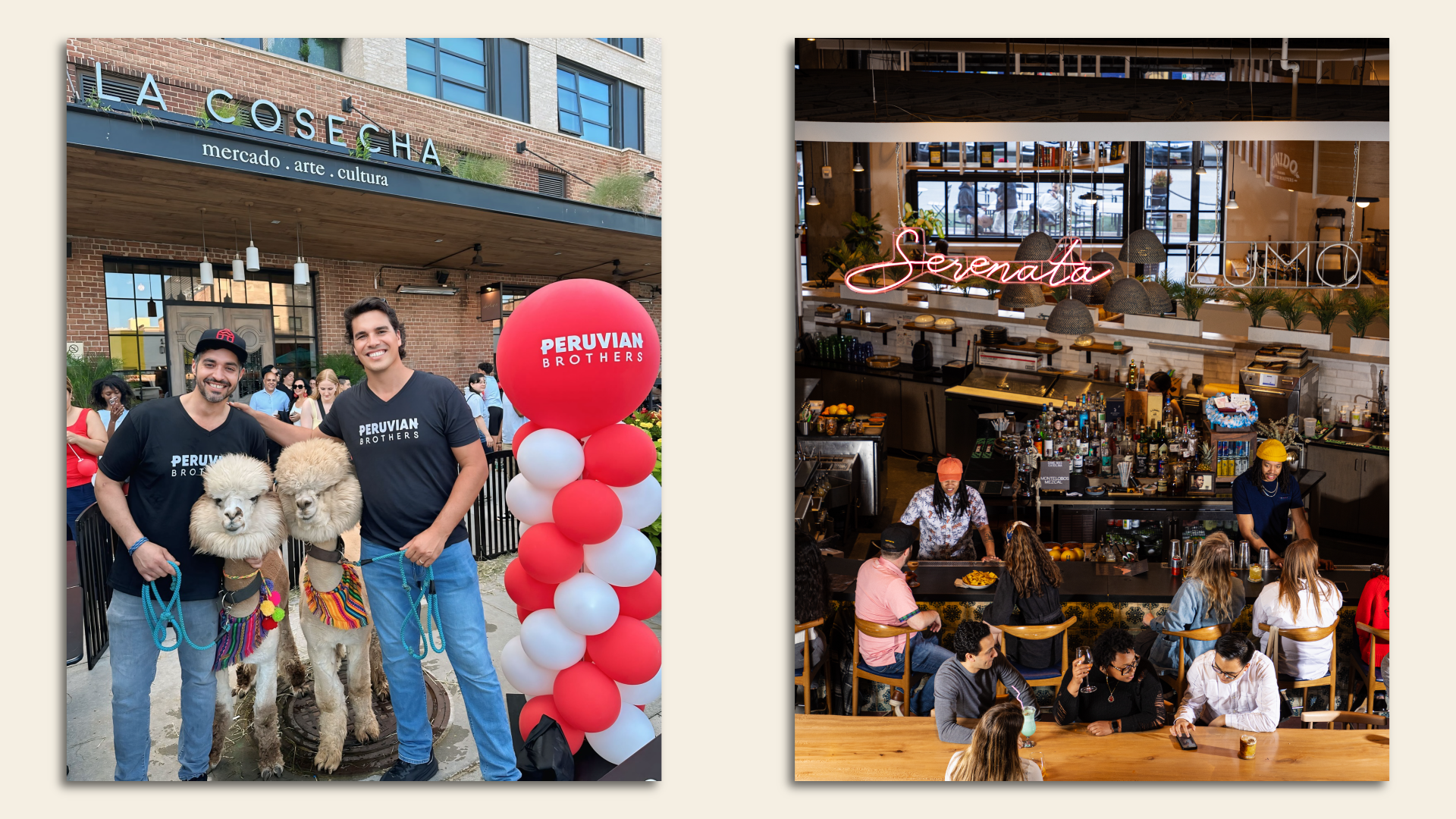 Peruvian Brothers with alpacas (left) and Serenata bar.