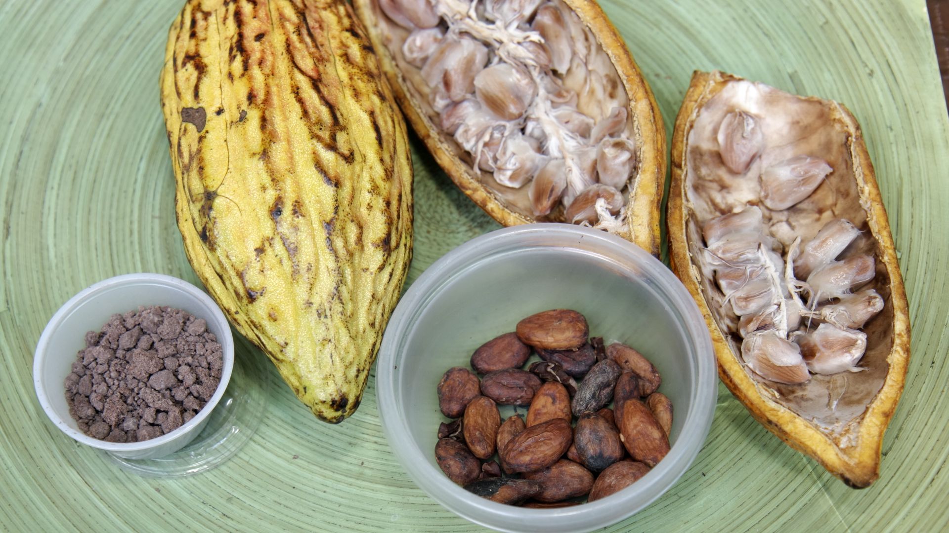 The inside of a yellowish cacao bean