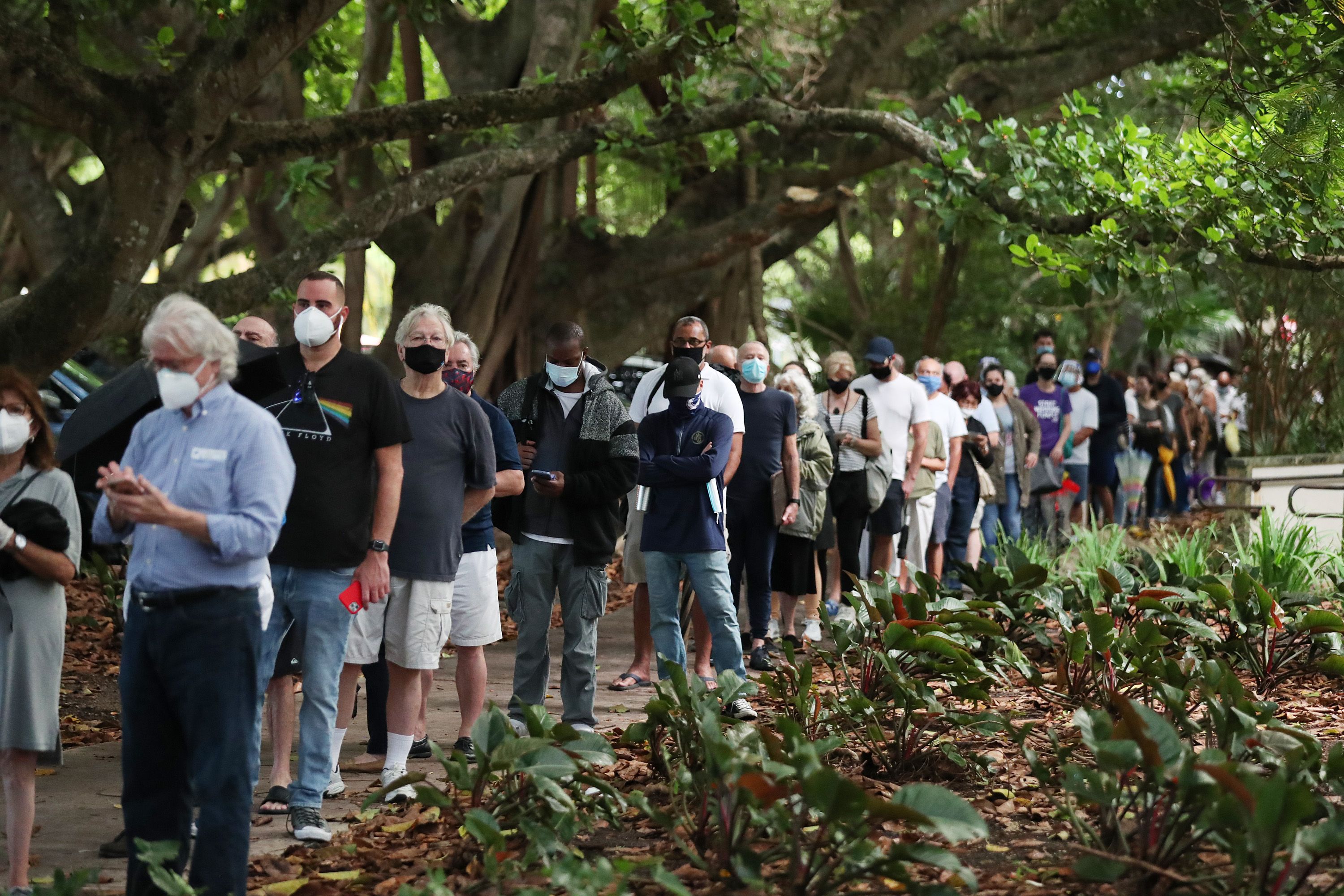 A long line of people stand outside under large oak trees while wearing face masks