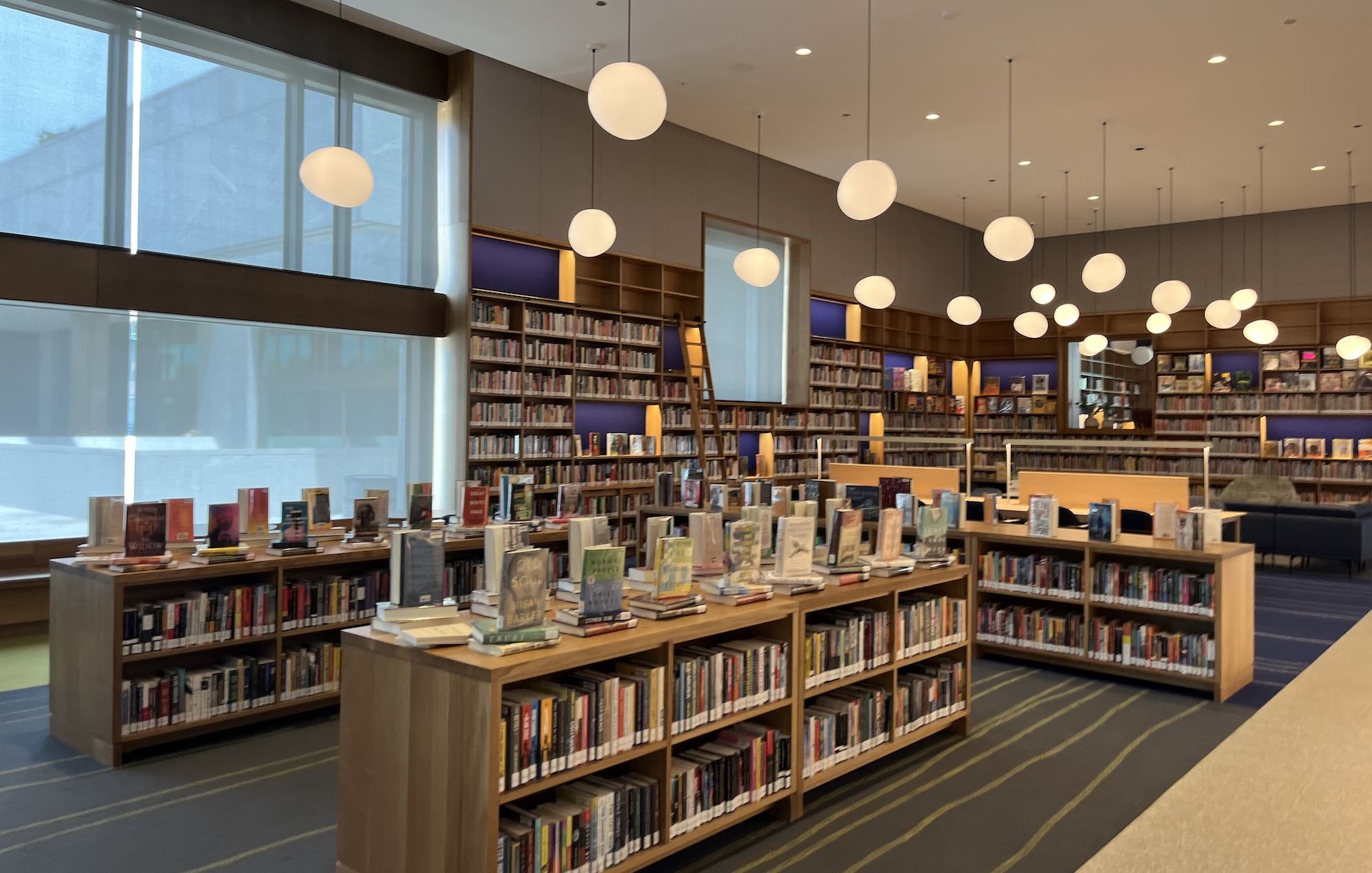 A Chicagoan's quest to visit every public library branch