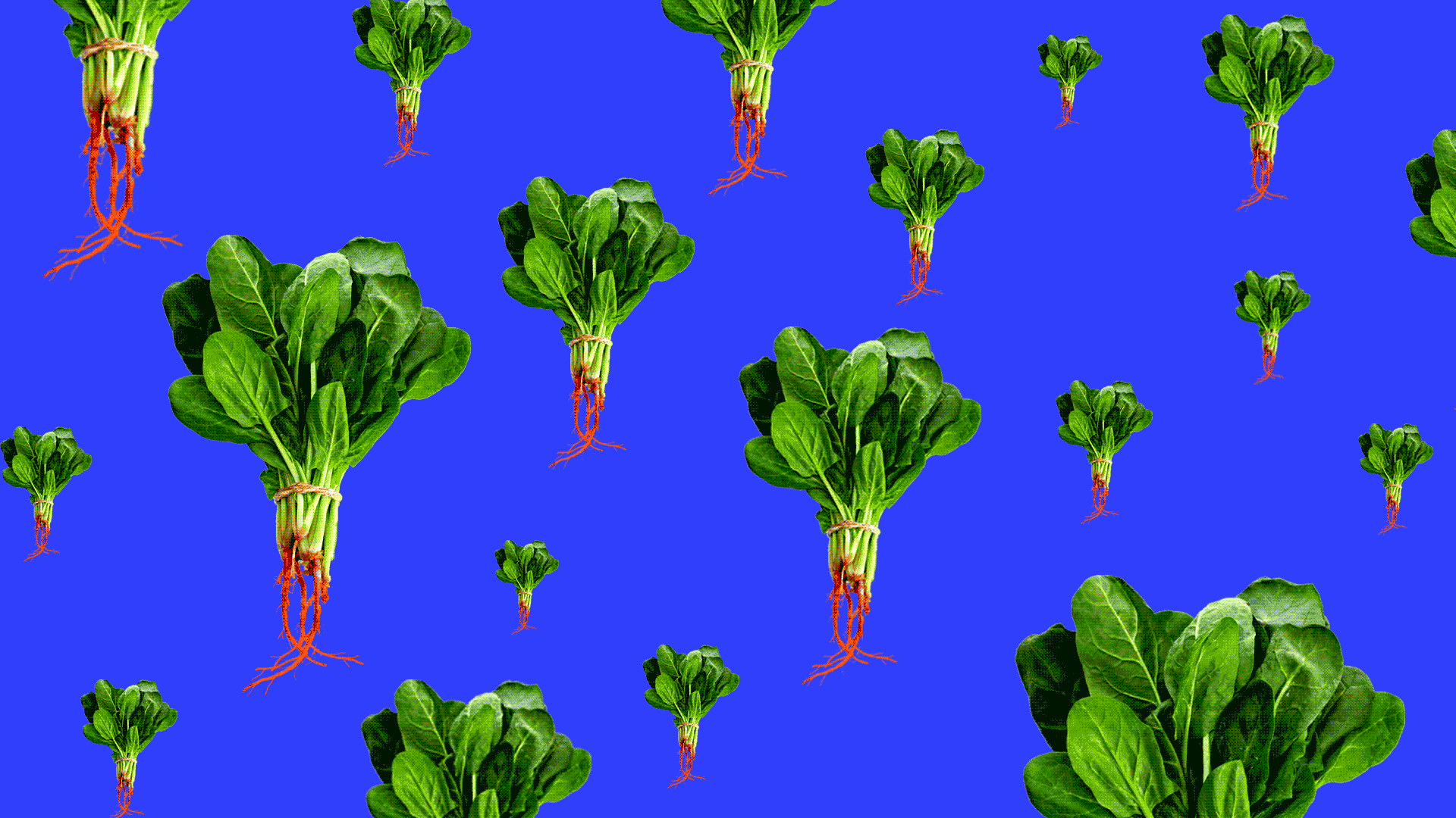 Bunches of spinach connected by blinking lights