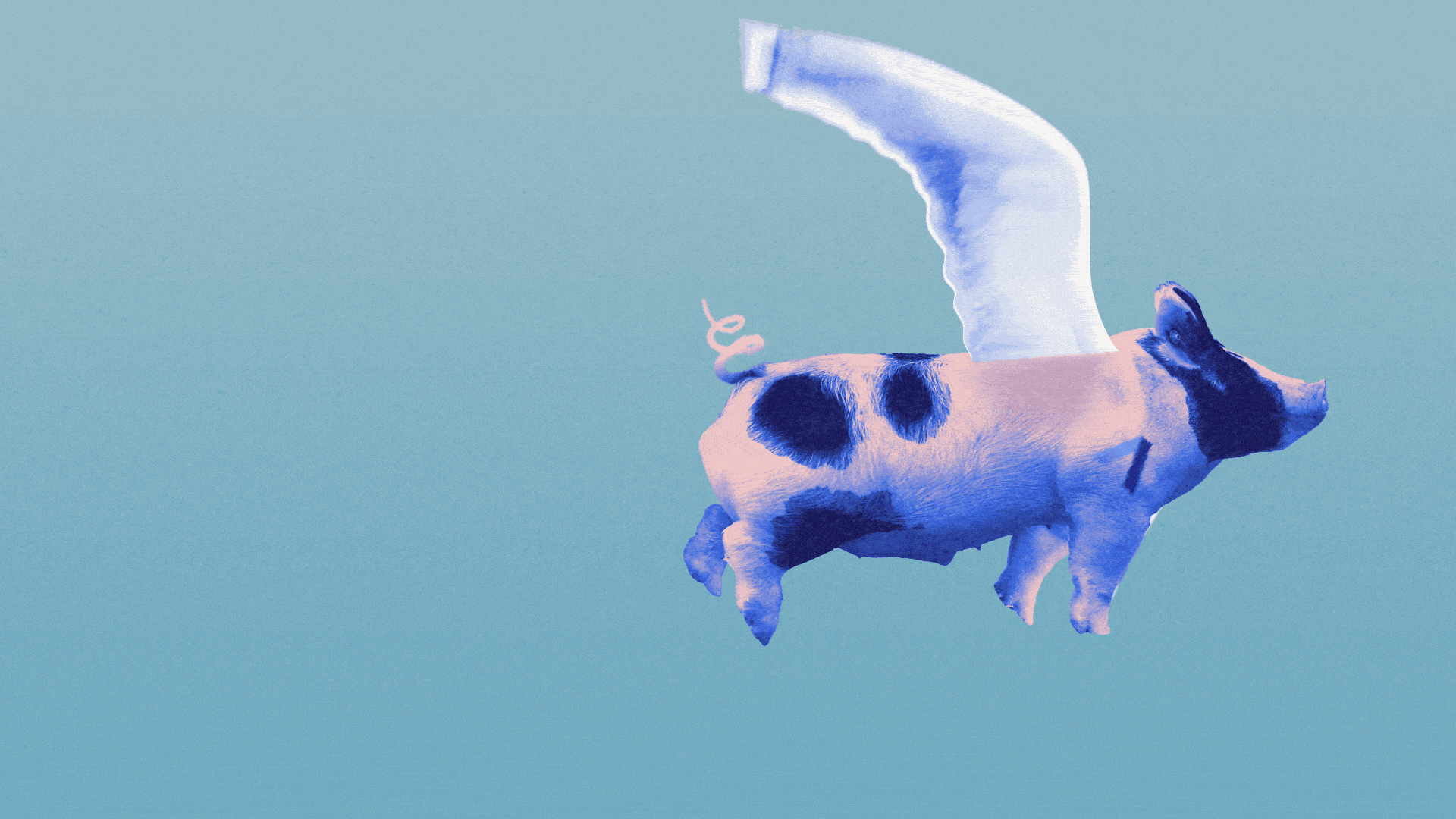Animated illustration of a pig with wings, and a spot shaped like an Axios logo, flying.