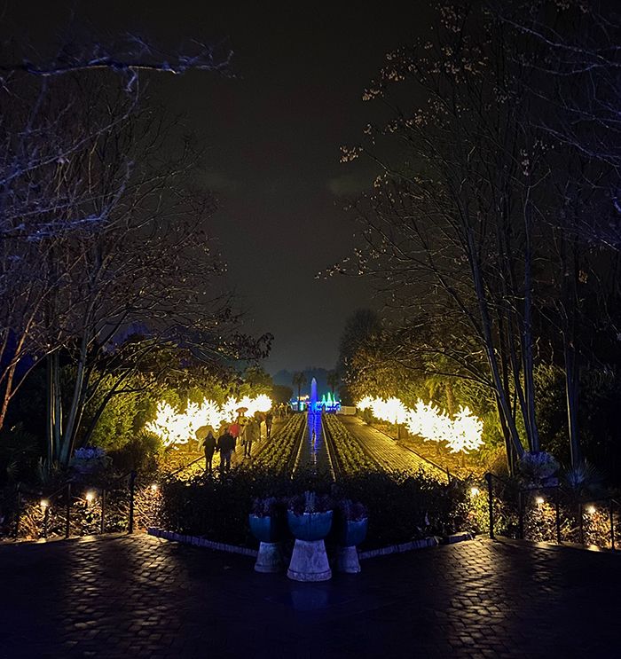 ending walkway lights at daniel stowe botanical garden lights