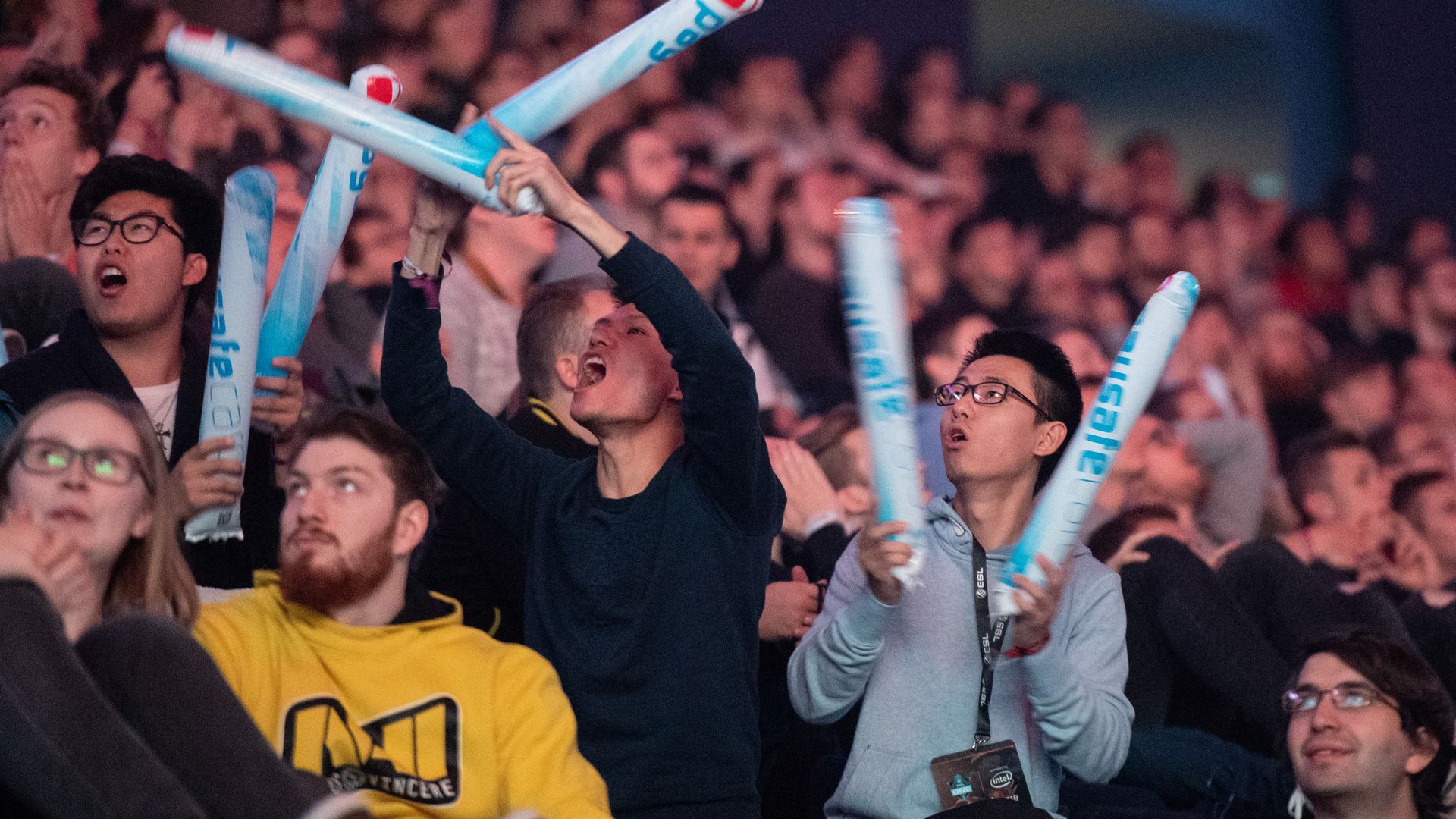 Photo of fans in a stadium