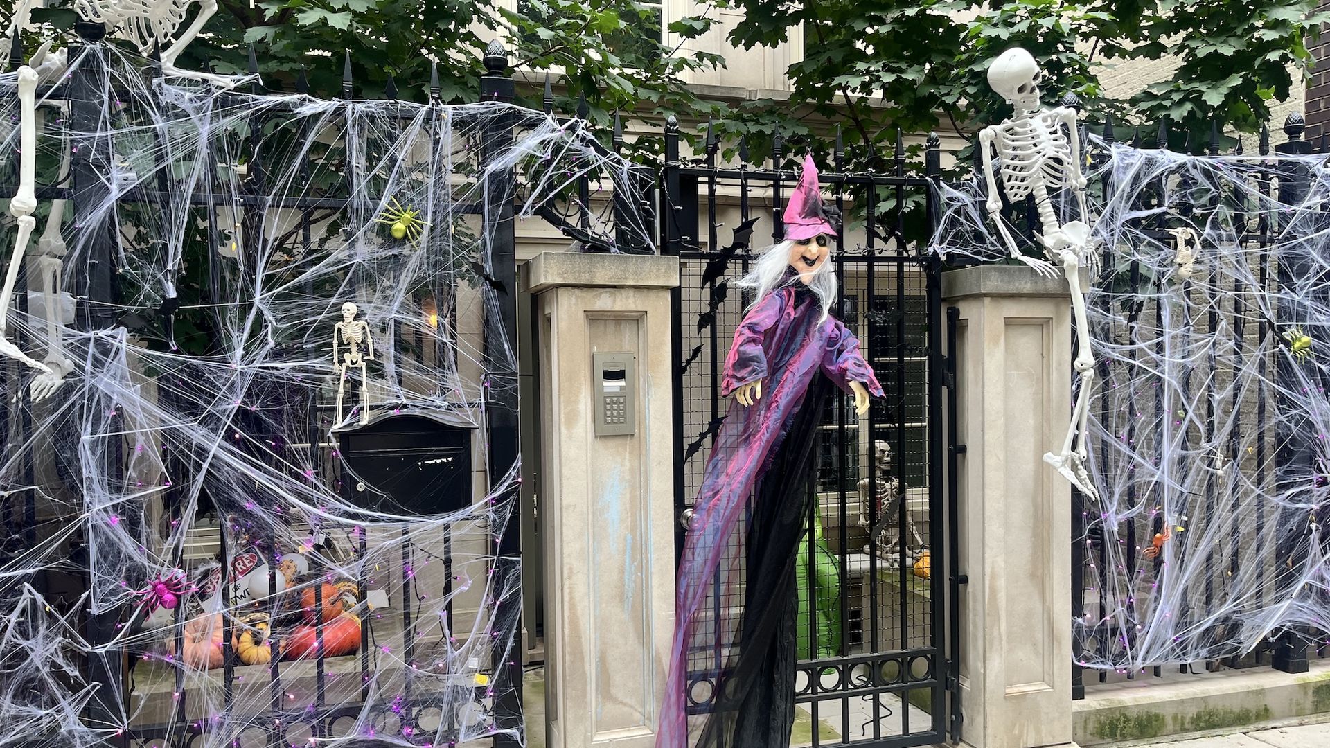 Halloween gate scene: two white skeletons frame a pink-clad witch; webs crisscross a black iron fence, with ivy and pumpkins visible in the background.