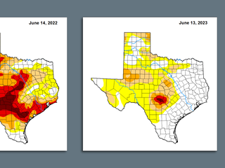 Rain hasn't staved off drought conditions in North Texas - Axios Dallas