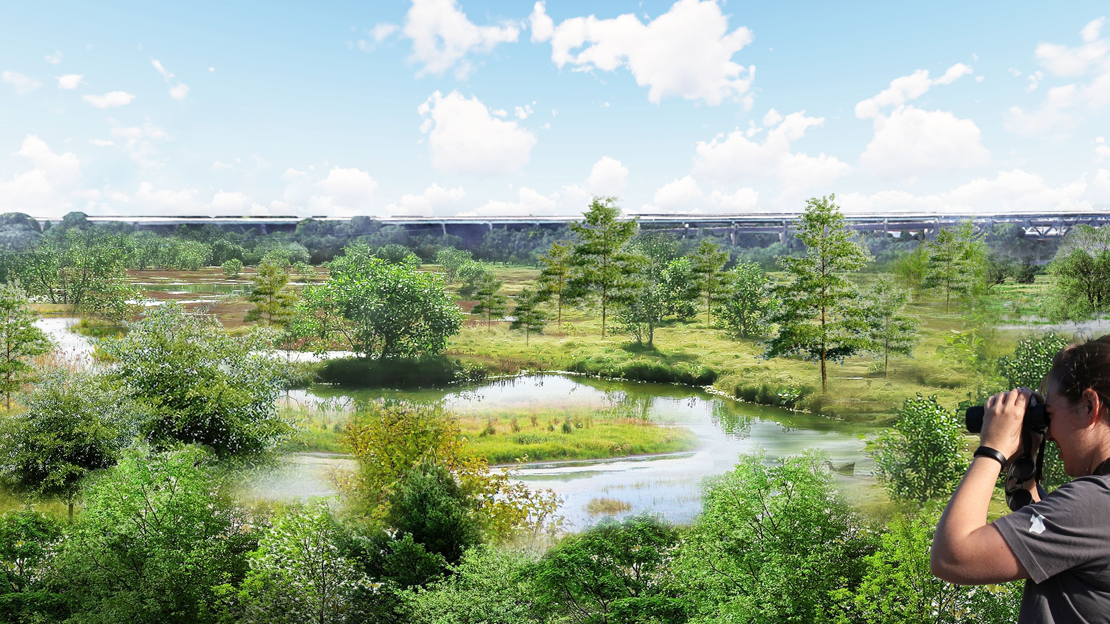 A rendering of the wetland project in FDR Park in South Philly.  