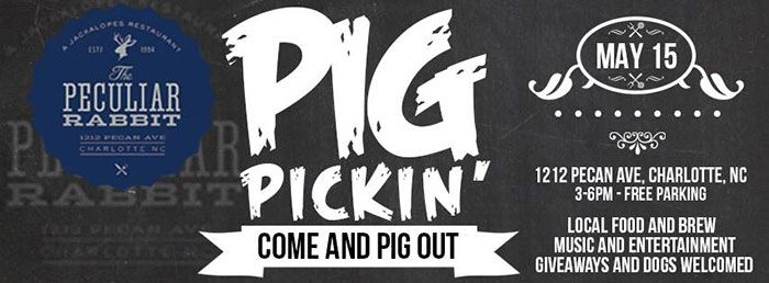 pig-pickin'-at-peculiar-rabbit