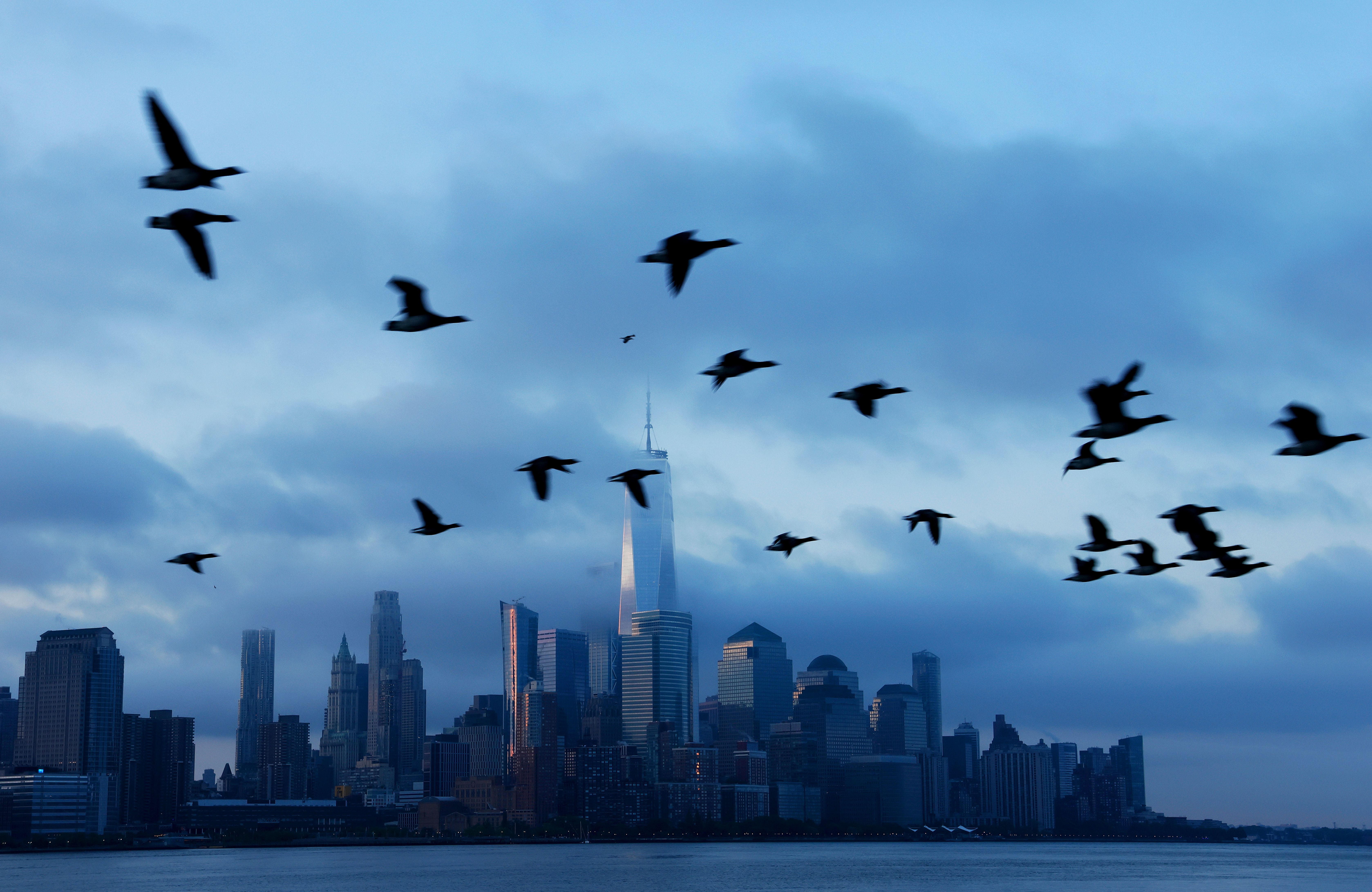 Silhouettes of geese against the downtown NYC skyline in early morning blue light