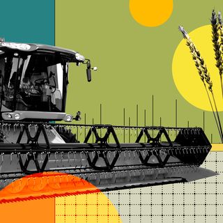 How the energy crisis could become a food security crisis