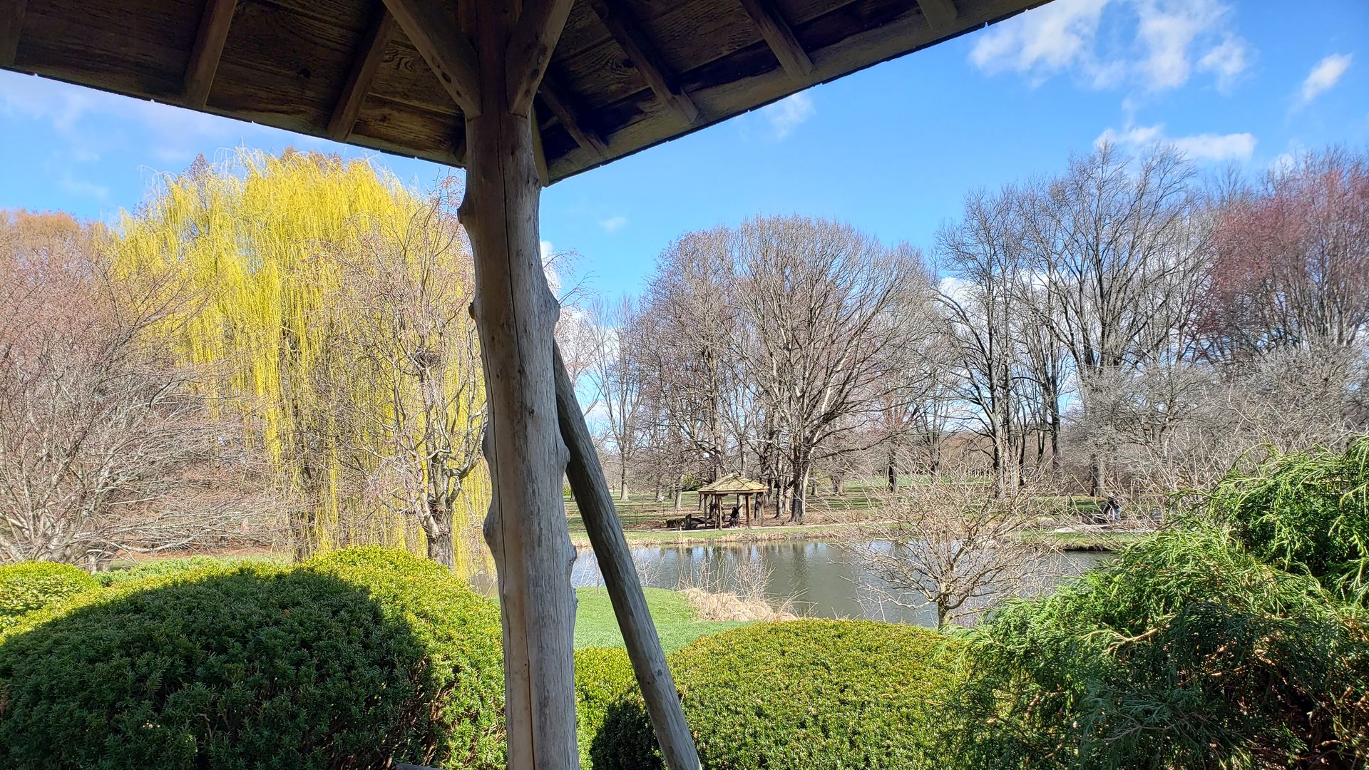 Park with pond