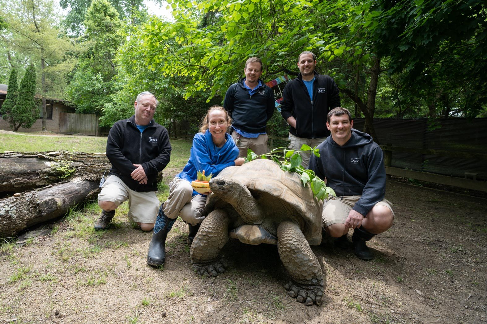 Zoo employees stand around a tortoise
