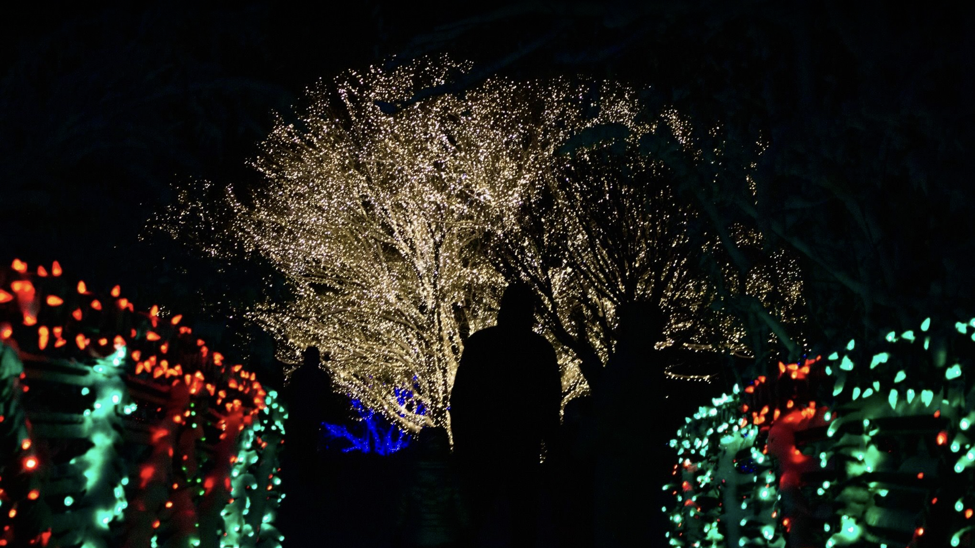 Two people stand in front of lighted trees and bushes.