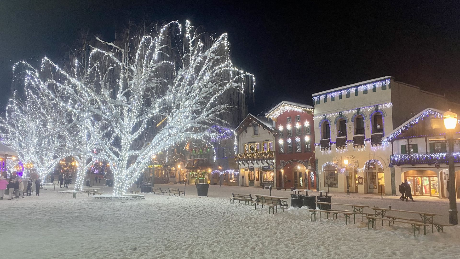 A view of lit up buildings and a lit up deciduous tree in a snowy setting.